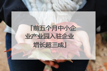 前五个月中小企业产业园入驻企业增长超三成