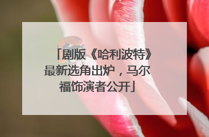 剧版《哈利波特》最新选角出炉，马尔福饰演者公开
