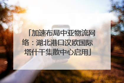 加速布局中亚物流网络：湖北港口汉欧国际塔什干集散中心启用