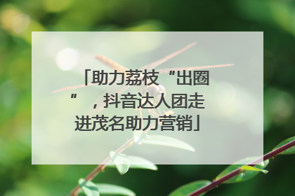 助力荔枝“出圈”，抖音达人团走进茂名助力营销