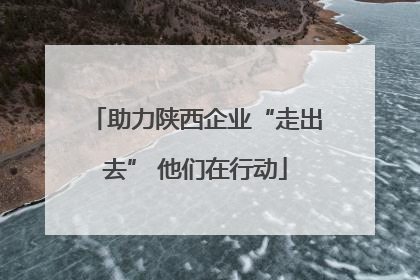 助力陕西企业“走出去” 他们在行动
