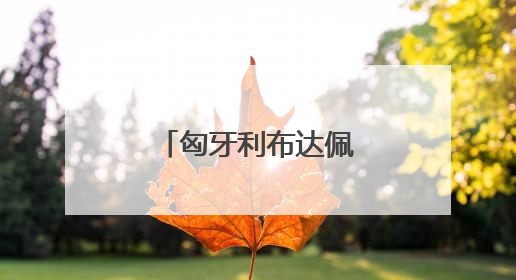 匈牙利布达佩斯举办意大利面桥世锦赛