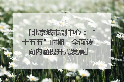 北京城市副中心：“十五五”时期，全面转向内涵提升式发展