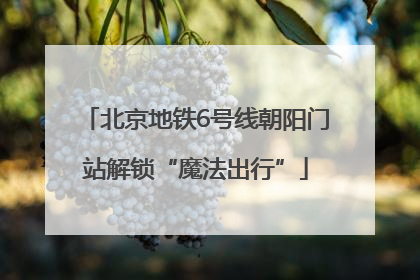 北京地铁6号线朝阳门站解锁“魔法出行”