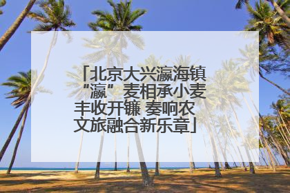 北京大兴瀛海镇“瀛”麦相承小麦丰收开镰 奏响农文旅融合新乐章