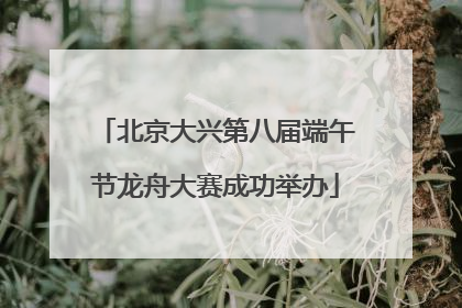 北京大兴第八届端午节龙舟大赛成功举办