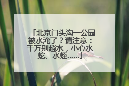北京门头沟一公园被水淹了？请注意：千万别趟水，小心水蛇、水蛭……