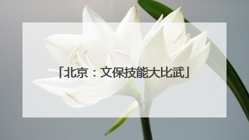 北京：文保技能大比武