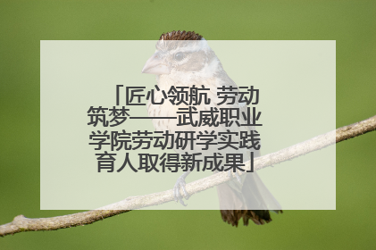 匠心领航 劳动筑梦——武威职业学院劳动研学实践育人取得新成果