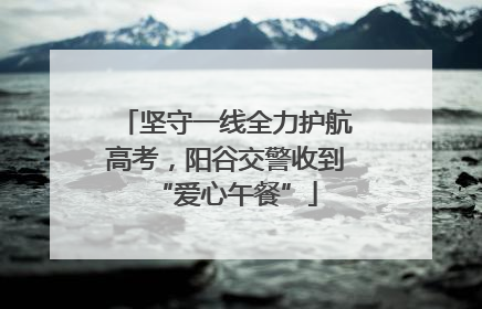 坚守一线全力护航高考，阳谷交警收到“爱心午餐”