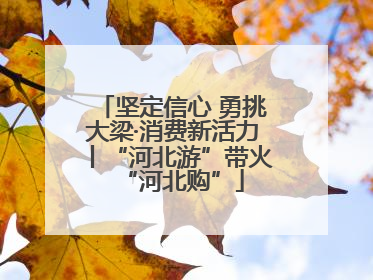 坚定信心 勇挑大梁·消费新活力丨“河北游”带火“河北购”