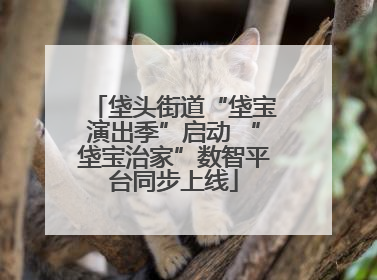 垡头街道“垡宝演出季”启动 “垡宝治家”数智平台同步上线