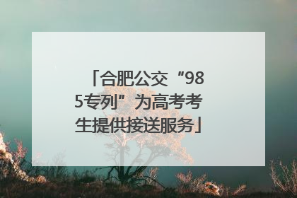 合肥公交“985专列”为高考考生提供接送服务