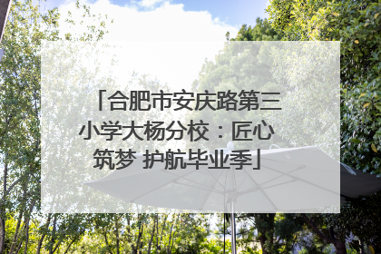 合肥市安庆路第三小学大杨分校：匠心筑梦 护航毕业季