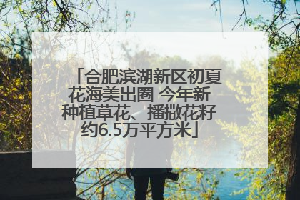 合肥滨湖新区初夏花海美出圈 今年新种植草花、播撒花籽约6.5万平方米