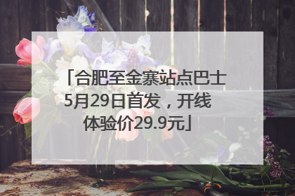 合肥至金寨站点巴士5月29日首发，开线体验价29.9元