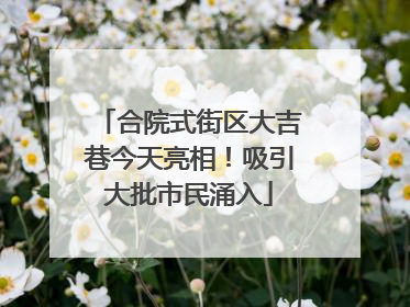 合院式街区大吉巷今天亮相！吸引大批市民涌入