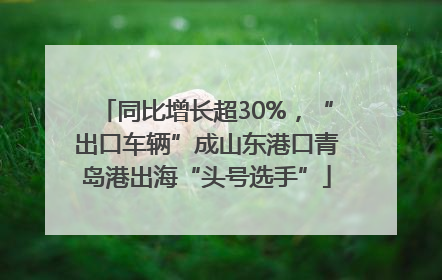 同比增长超30%，“出口车辆”成山东港口青岛港出海“头号选手”