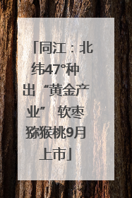 同江：北纬47°种出“黄金产业” 软枣猕猴桃9月上市
