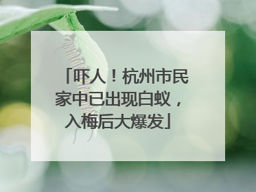 吓人！杭州市民家中已出现白蚁，入梅后大爆发