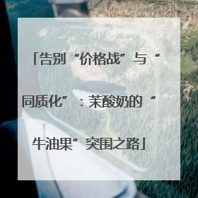 告别“价格战”与“同质化”：茉酸奶的“牛油果”突围之路