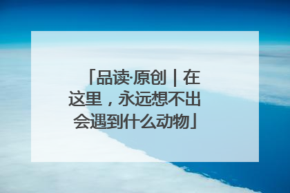 品读·原创｜在这里，永远想不出会遇到什么动物