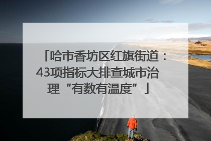 哈市香坊区红旗街道：43项指标大排查城市治理“有数有温度”