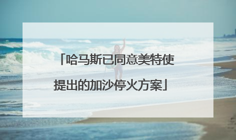 哈马斯已同意美特使提出的加沙停火方案