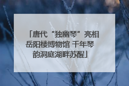 唐代“独幽琴”亮相岳阳楼博物馆 千年琴韵洞庭湖畔苏醒