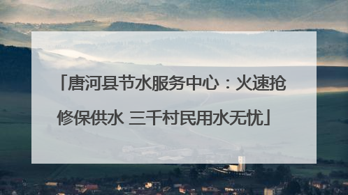 唐河县节水服务中心：火速抢修保供水 三千村民用水无忧