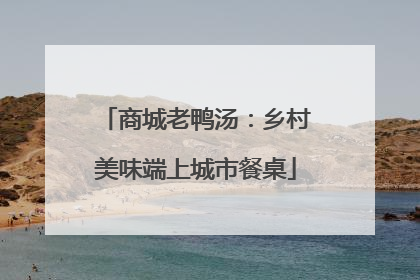 商城老鸭汤：乡村美味端上城市餐桌