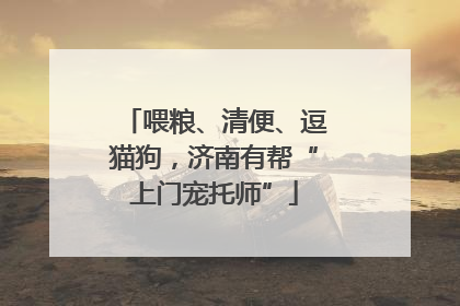 喂粮、清便、逗猫狗，济南有帮“上门宠托师”
