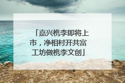 嘉兴槜李即将上市，净相村开共富工坊做槜李文创