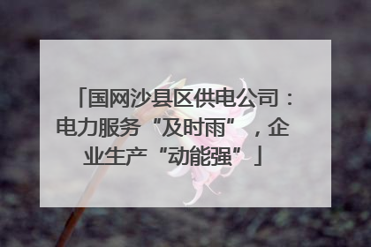 国网沙县区供电公司：电力服务“及时雨”，企业生产“动能强”