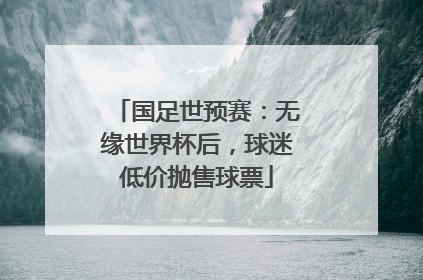 国足世预赛：无缘世界杯后，球迷低价抛售球票