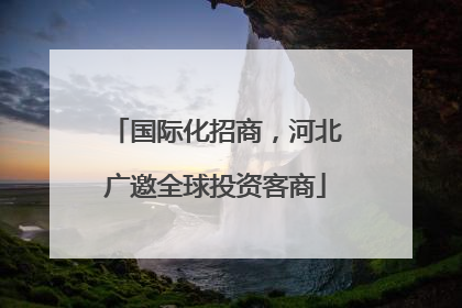 国际化招商，河北广邀全球投资客商