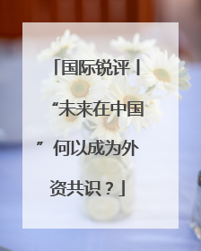 国际锐评丨“未来在中国”何以成为外资共识？