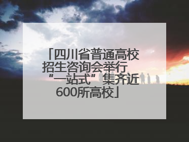四川省普通高校招生咨询会举行 “一站式”集齐近600所高校