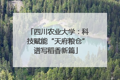 四川农业大学：科技赋能“天府粮仓”谱写稻香新篇