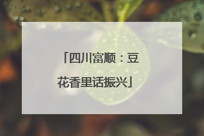 四川富顺：豆花香里话振兴