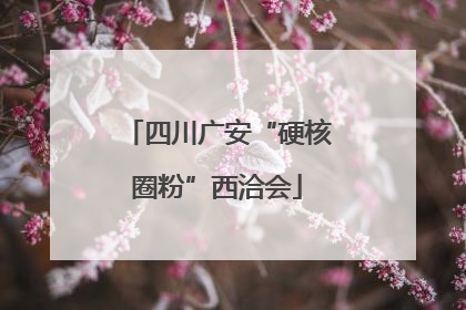 四川广安“硬核圈粉”西洽会