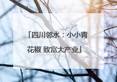 四川邻水：小小青花椒 致富大产业
