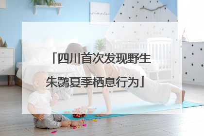 四川首次发现野生朱鹮夏季栖息行为