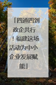 四通四到 政企共行！福建这场活动为中小企业发展赋能