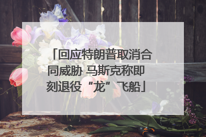 回应特朗普取消合同威胁 马斯克称即刻退役“龙”飞船