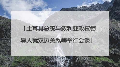 土耳其总统与叙利亚政权领导人就双边关系等举行会谈
