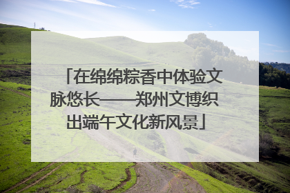 在绵绵粽香中体验文脉悠长——郑州文博织出端午文化新风景
