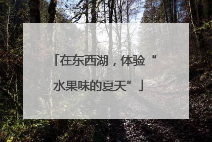 在东西湖，体验“水果味的夏天”