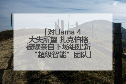 对Llama 4大失所望 扎克伯格被曝亲自下场组建新“超级智能”团队