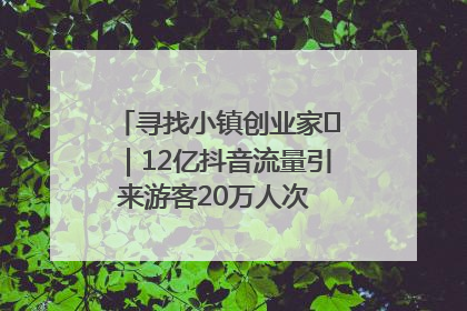 寻找小镇创业家㊱｜12亿抖音流量引来游客20万人次 “襄阳许三多”爆改家乡打造网红村
